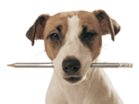 Dog with pencil 200 x 150 -25 clarity 10