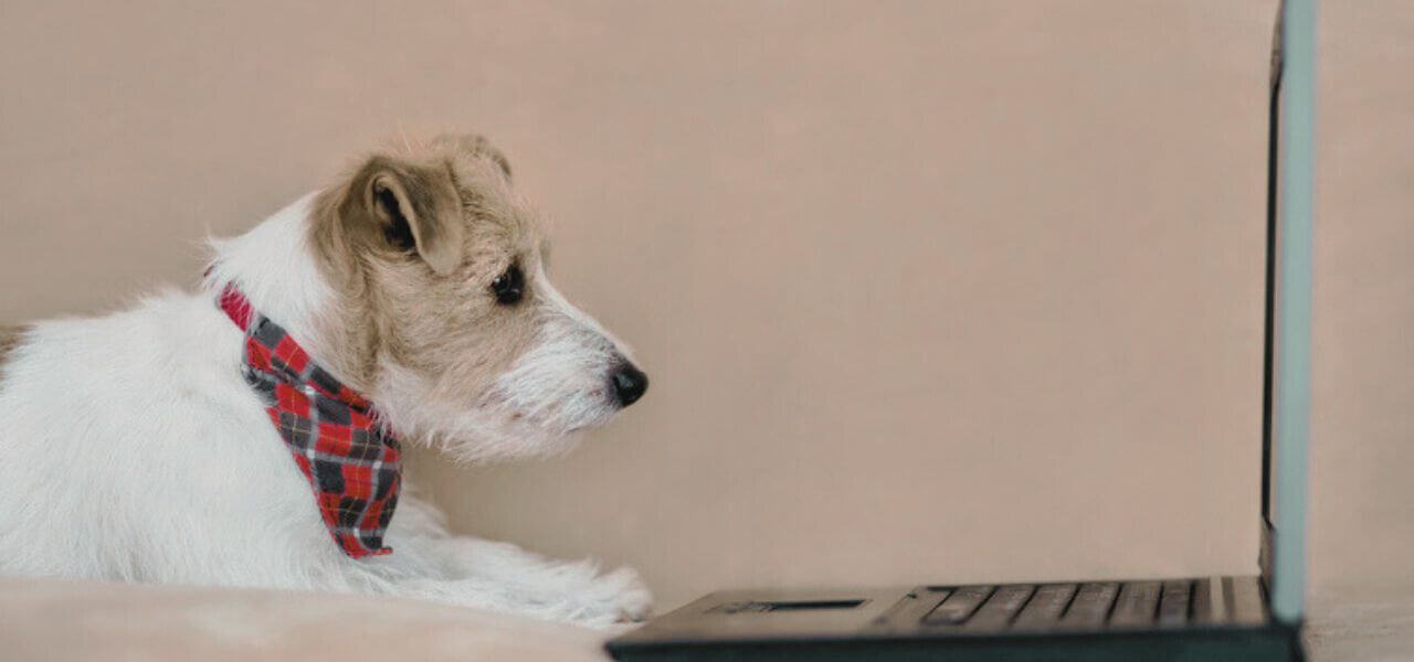 JR at laptop Nordic2 1280 x 600